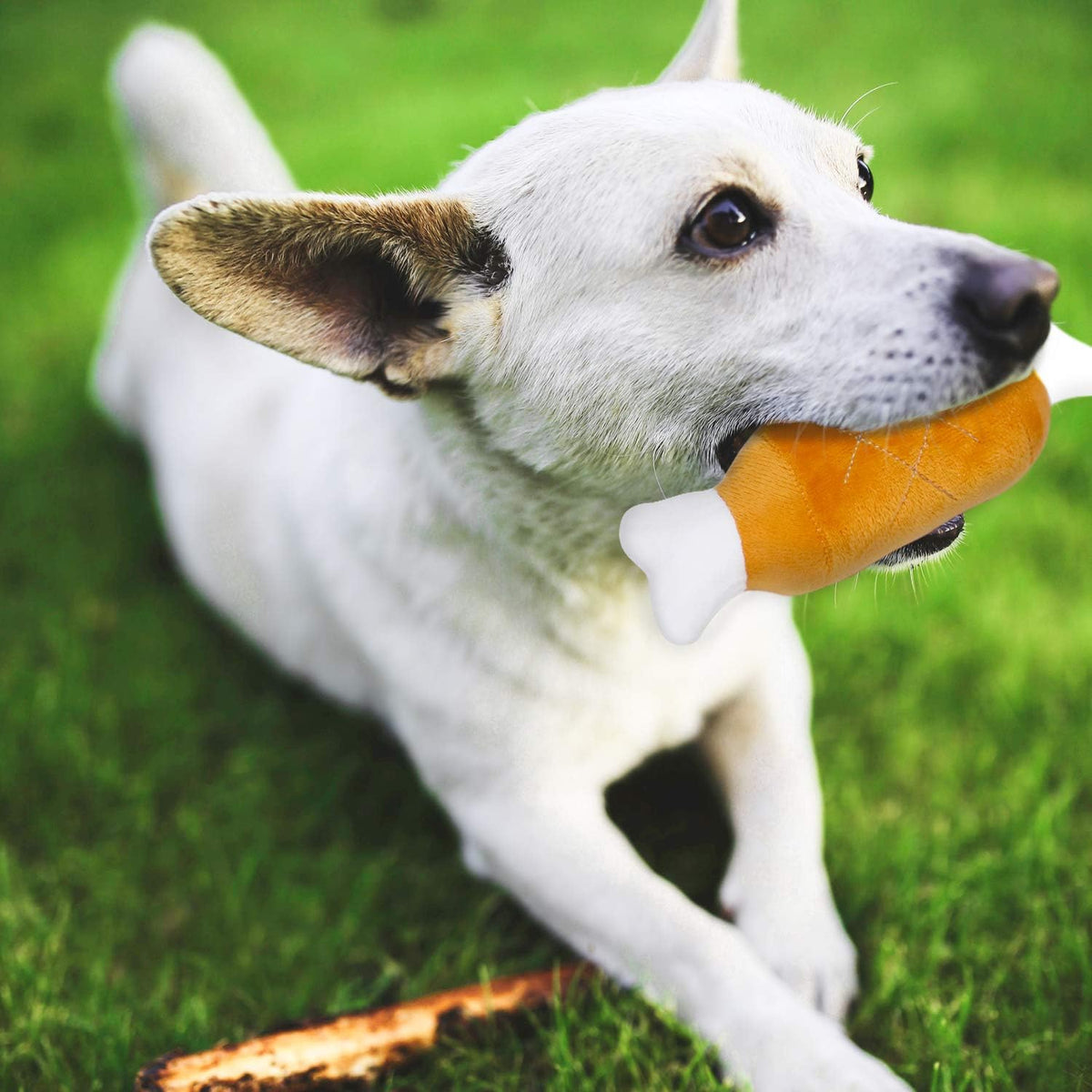 7 Pack Small Dog Toys, Puppy Teething Toys, Durable Ropes Chew Toys, Cute Elephant Squeaky Dog Toys, Non-Toxic and Safe