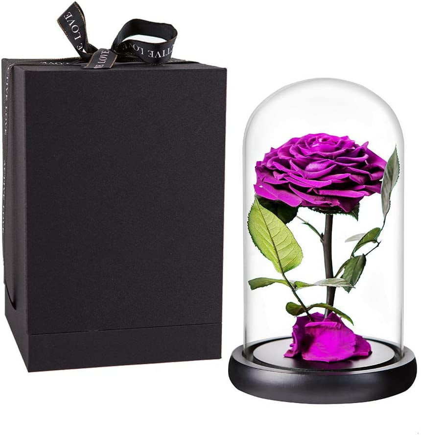 Purple Roses Handmade Rose in Glass Dome, Preserved Flowers Never Withered Romantic Gifts for Her, Mother'S Day, Birthday Gifts for Women (9 Inch, Purple)