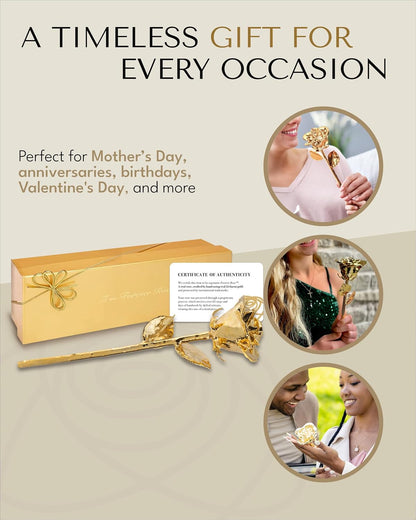 24K Gold Dipped Real Rose, Handmade, in Gold Gift Box