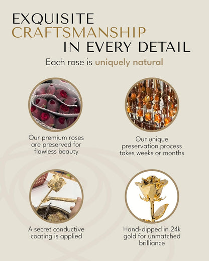 24K Gold Dipped Real Rose, Handmade, in Gold Gift Box