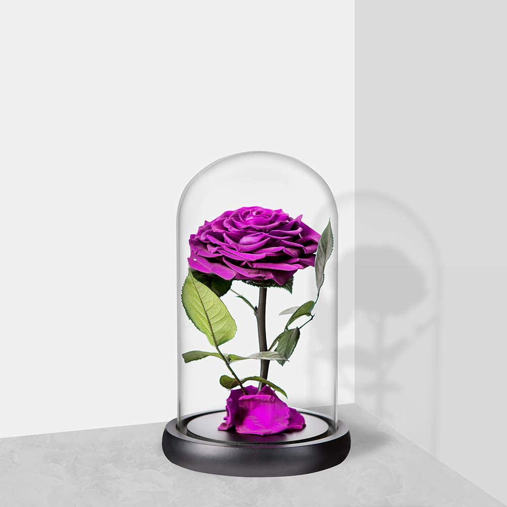 Purple Roses Handmade Rose in Glass Dome, Preserved Flowers Never Withered Romantic Gifts for Her, Mother'S Day, Birthday Gifts for Women (9 Inch, Purple)
